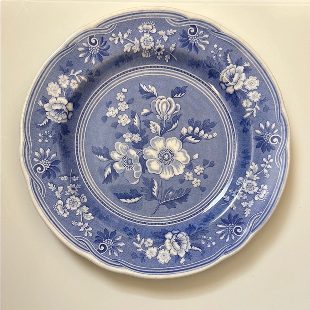 The Spode Blue Room Collection ‘Botanical’